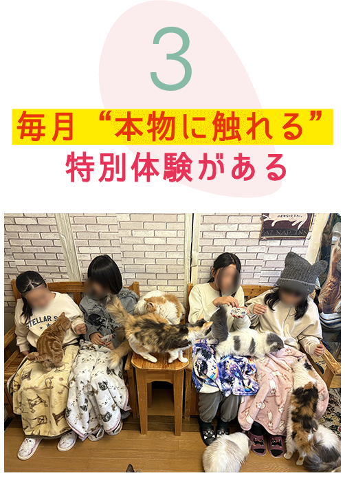 3 毎月“本物に触れる”特別体験がある